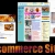 e-commerce Websites
